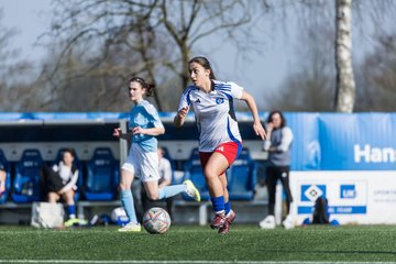 Bild 59 - F Hamburger SV 3 - Blau-Weiss 96 : Ergebnis: 5:1